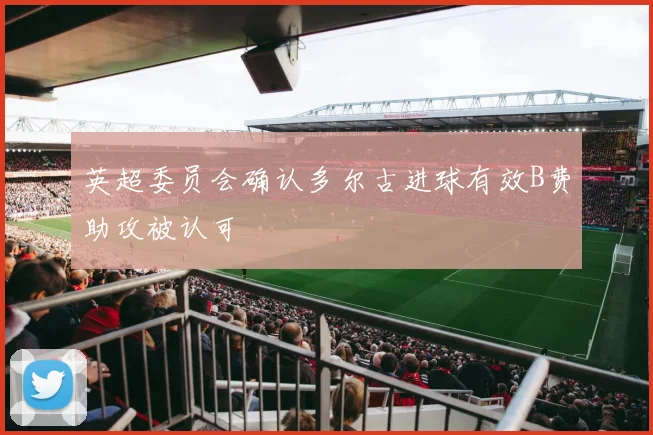 英超委员会确认多尔古进球有效B费助攻被认可